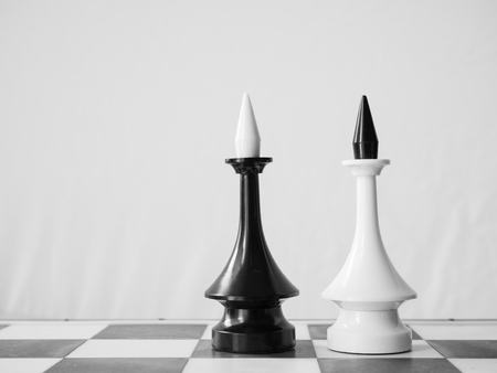 homosexual pair or gay marriage concept. two chessman kings on chessboardの写真素材