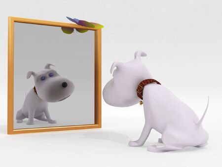 Dog and mirrorの写真素材
