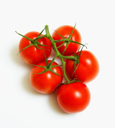 Spring fresh vegetables on a white background.の写真素材