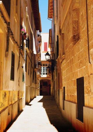 Streets of the old historic center of Palma de Mallorca. Spain.の写真素材