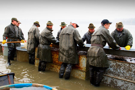 Fishing at the Petr BezruÄ pond in Jistebnik in Moravia in the Czech Republic.の写真素材
