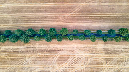 Amazing sunset on a golf-courseの写真素材