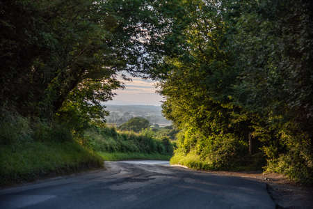 Road on the top of farm land hill.