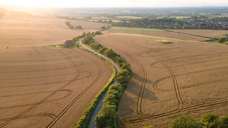 Aerial view of crop fields just before harvest and a lonely road.