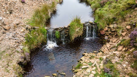 Little stream in unfarmed land on a moody day in a Derbyshire, UK.