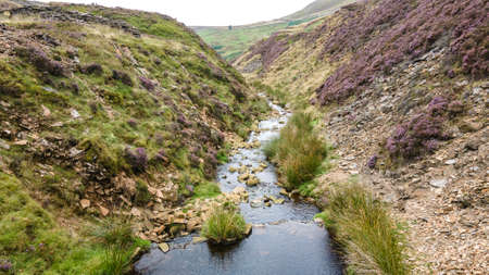 Little stream in unfarmed land on a moody day in a Derbyshire, UK.