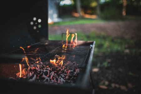 BBQ fire under the grill in a forest on vacation.