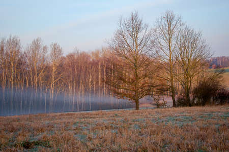 Morning fog on the edge of the fieldの写真素材