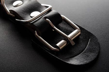 Closeup buckle of dog's collarの写真素材