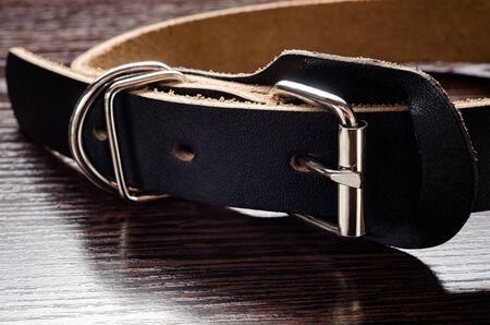 Closeup buckle of dog's collarの写真素材