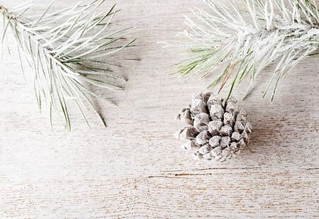 Frosted pine cone and needles