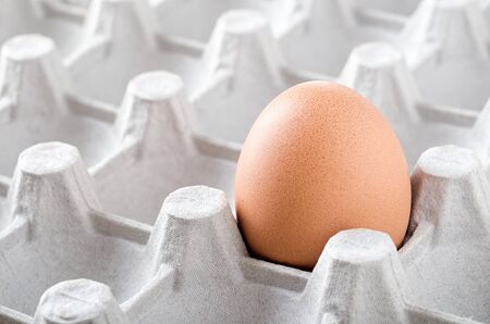 Single egg in paper tray close-upの写真素材