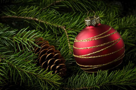 Red christmas ball close-up on fir-tree branchの写真素材