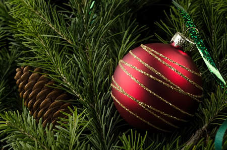 Red christmas ball close-up on fir-tree branchの写真素材