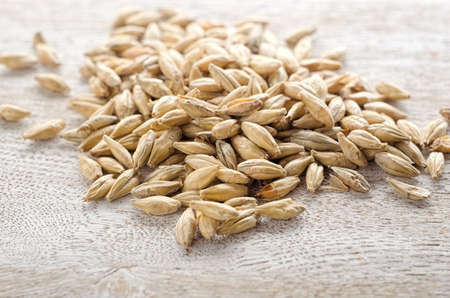 Brewing malt on wooden table close-upの写真素材