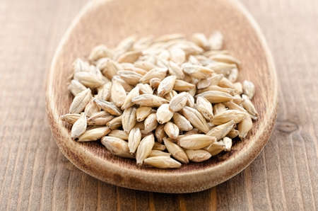 Barley malt in wooden spoon close-upの写真素材