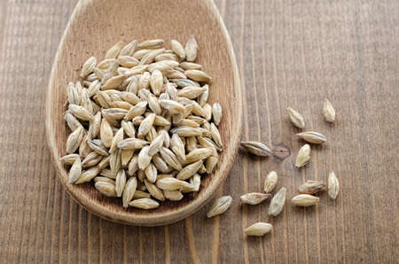 Barley malt in wooden spoon close-upの写真素材