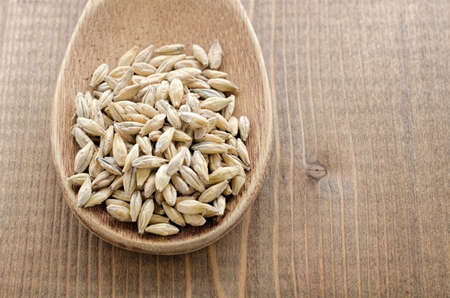 Barley malt in wooden spoon close-upの写真素材