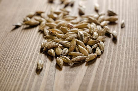 Brewing malt on wooden table close-upの写真素材