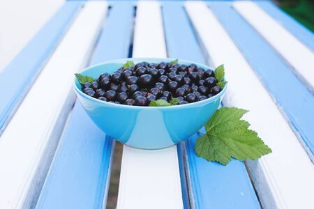 Berries of a black currant on a blue table. Beautiful food.の写真素材