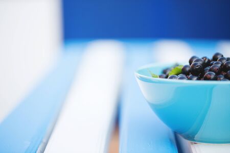 Black berry, ripe black currants in a plateの写真素材