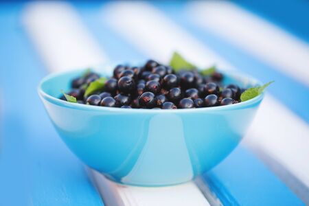 Ripe black currants in a plateの写真素材