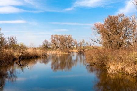lake in forest in early spring timeの写真素材