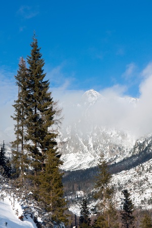 Mountain landscape in nice sunny dayの写真素材