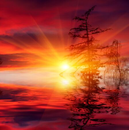 Nice scene with hot sunset over waterの写真素材