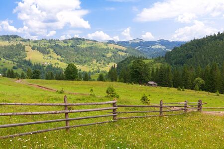 nice scene with meadow in mountainsの写真素材