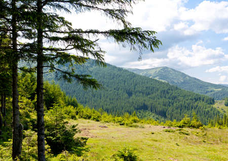 Summer mountain landscape in Carpathiansの写真素材