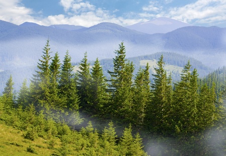 Nice mountain landscapeの写真素材