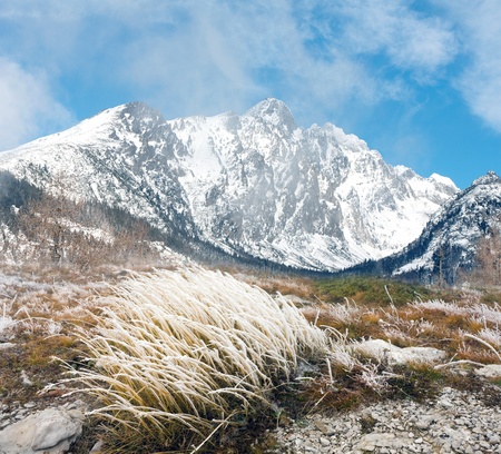 mountain scene with frosted grassの写真素材