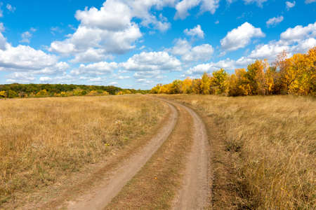 Countryside road in nice autumn day の写真素材