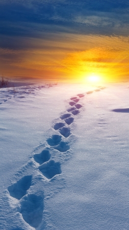 snow-path in steppe on sunset background の写真素材