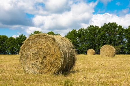 haystacks on the filed in cloudy day の写真素材