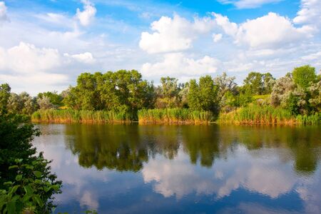 Nice summer scene on river