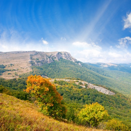 Nice autumn scene in mountains in september dayの写真素材