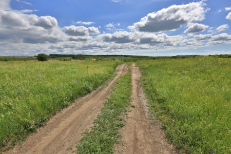Rut road amon green steppe under nice skyの写真素材