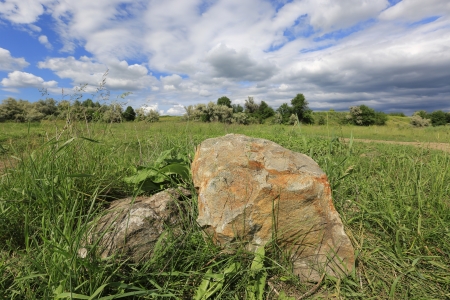 Stones among green grass on meadowの写真素材