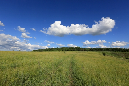 rut road in summer steppeの写真素材