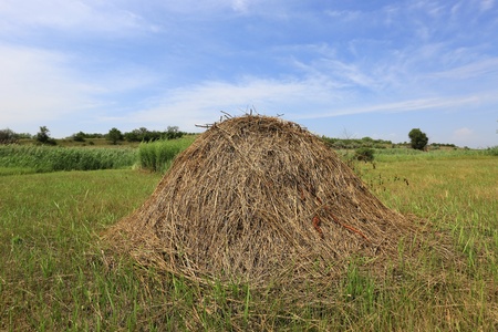 haystack on summer meadow in nice dayの写真素材