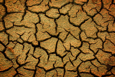 Cracked earth  - abstract natural backgroundの写真素材