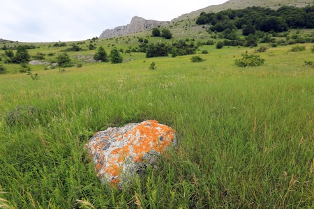 old stone on mountain meadow in grassの写真素材