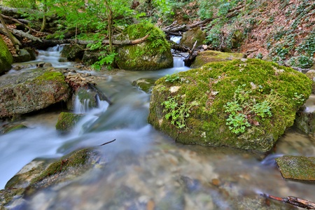 nice mountain brook with green stonesの写真素材