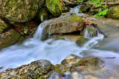 scene with mountain stream among green stonesの写真素材