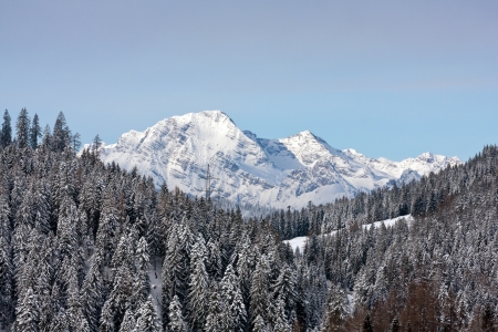 winter scene in austrian alpsの写真素材