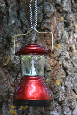 camp lantern on cortex tree backgroundの写真素材