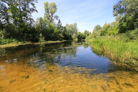 Summer scene on small riverの写真素材