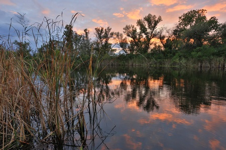Nice evening scene on riverの写真素材